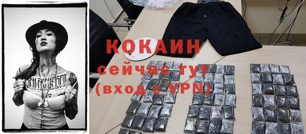 шишки Баксан