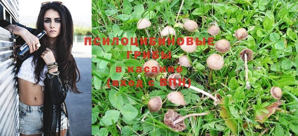 шишки Баксан