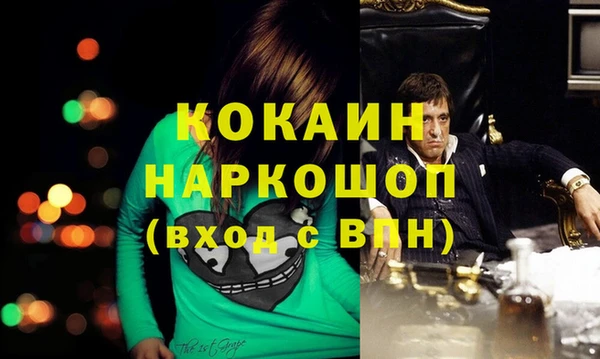 шишки Баксан