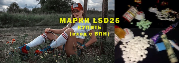 молекула духа Арсеньев