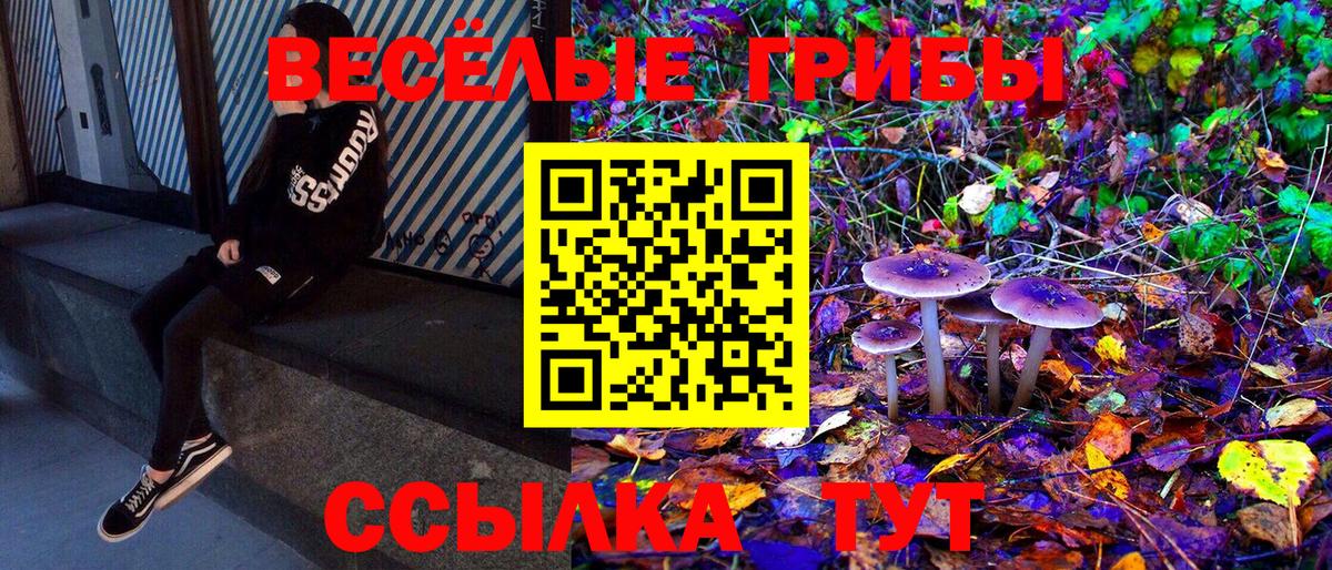 Галлюциногенные грибы мицелий Горячий Ключ
